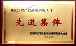 國家知識產(chǎn)權(quán)戰(zhàn)略實施工作先進集體